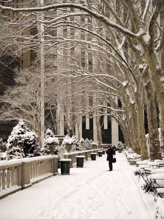 This is a shot of Bryant Park In Manhattan during a snow storm.の写真素材