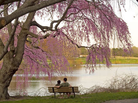A couple relax and enjoy the beautiful Spring colors at Holmdel Park in New Jersey.の写真素材