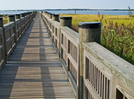 A walkway in the wetlands of a park near Ocean City Maryland.の写真素材