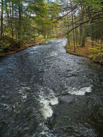 A fast moving stream runs through the Pocono Mountain woods in Pennsylvania.の写真素材