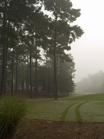 An early morning foggy view of the TPC Myrtle Beach Golf course.の写真素材