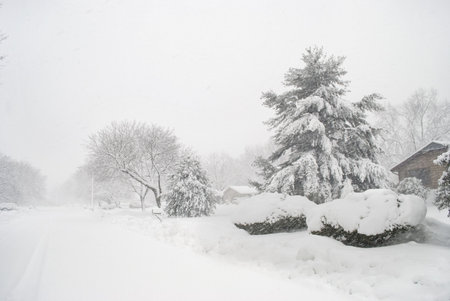 This Central New Jersey neighborhood during a heavy 2010 snowfall.の写真素材