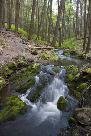 A stream flowing through moss covered rocks in Tillman's Ravine, located in Stokes State Forest in Northwestern New Jersey.の写真素材