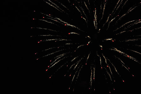 A detailed shot of bright colorful fireworks in the night sky.