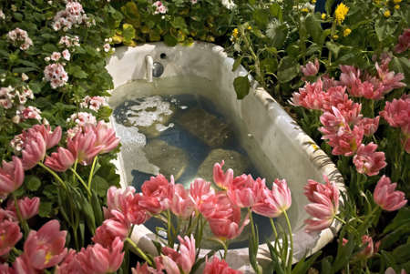 PHILADELPHIA - MARCH 12: Various floral displays at the international Flower Show in Philadelphia Pa on March 12, 2011. のeditorial素材