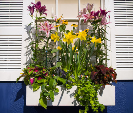 PHILADELPHIA - MARCH 12: Various floral displays at the international Flower Show in Philadelphia Pa...