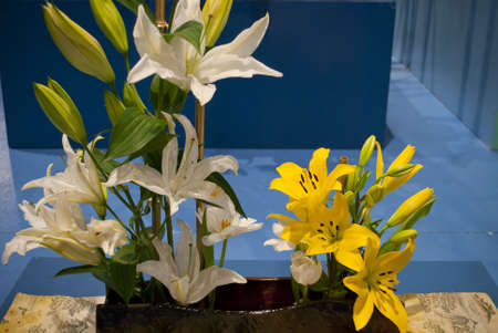 PHILADELPHIA - MARCH 12: Various floral displays at the international Flower Show in Philadelphia Pa on March 12, 2011.のeditorial素材