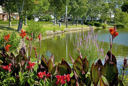 A lakeside park in Spring Lake New Jersey with beautiful Summer flowers.の写真素材