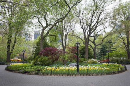 A Spring ornamental garden in Central Park in New York City.の写真素材