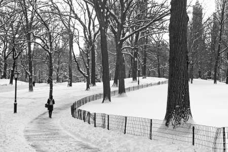 Winter Path Central Park,  A black and white view of Central Park after a fresh snowfall の写真素材
