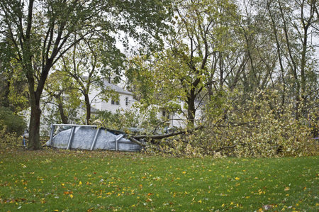 MANALAPAN, NEW JERSEY/USA – OCTOBER 30: A downed tree crushed an above ground pool as a result of...