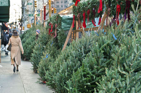 "Sidewalk Trees" Christmas trees for sale along the sidewalk along 2nd Ave. in Manhattan.のeditorial素材