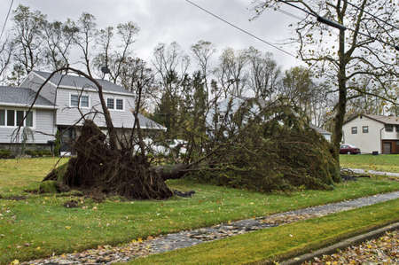 MANALAPAN, NEW JERSEY/USA â OCTOBER 30: A downed tree as a result of Huricaine Sandy on October 30 2012 in Manalapan, New Jersey.のeditorial素材