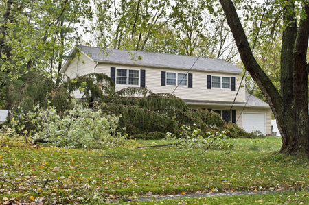 MANALAPAN, NEW JERSEY/USA â€“ OCTOBER 30: A downed tree as a result of Huricaine Sandy on...