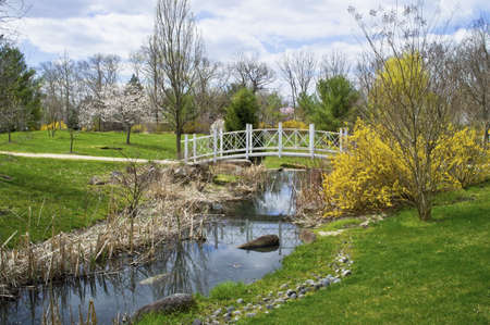 A small stream in Sayen Park during Spring in Hamilton,New Jersey.の写真素材