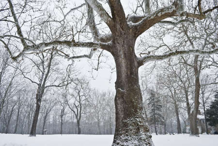 A Winter landscape in Historic Allaire Village in New Jersey.のeditorial素材