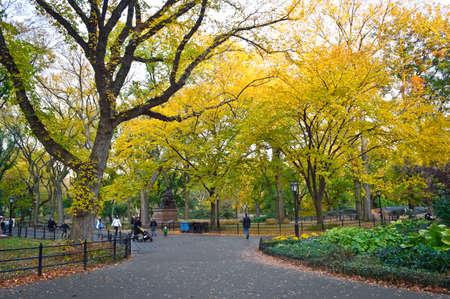 NEW YORK - OCTOBER 29  People enjoy an Autumn stroll through Central Park on October 29 2013 in New York City  Central park is a 778 acre public park in the middle of Manhattan のeditorial素材