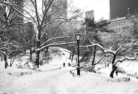 A snow filled black and white look at Central Park in New York City の写真素材