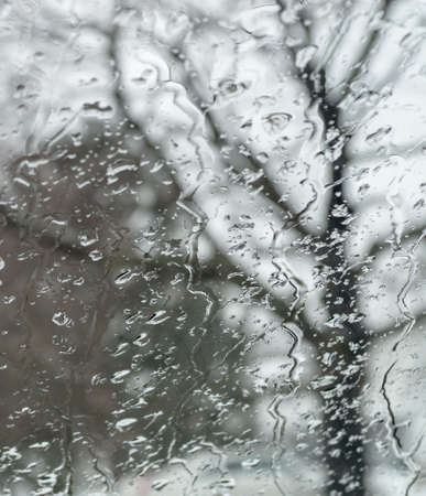 An out of focus tree as seen through a rainy window の写真素材