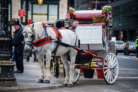NEW YORK - APRIL 18   A horse and buggy carriage and coachman in Central Park on April 18 2012 in New York City  The carriage rides are in danger of being banned for animal safety issues のeditorial素材