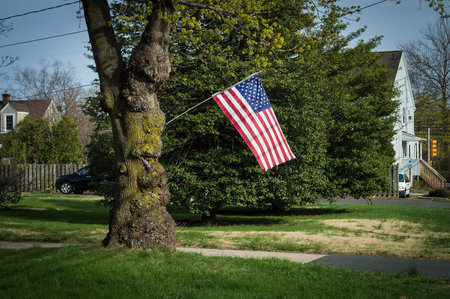 The stars and stripes hanging from a tree in Central New Jersey 