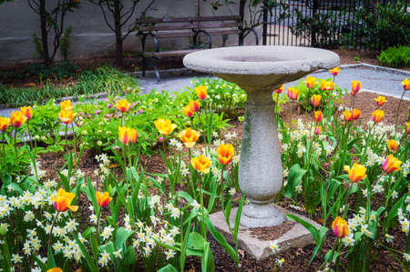 An old bird bath in a Spring garden in New York City の写真素材