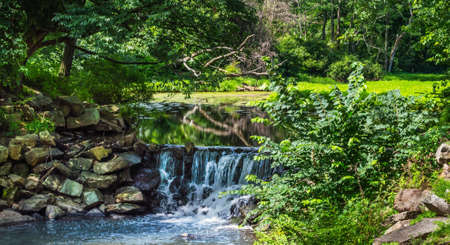 A small waterfall on a bright Summer day in Duke Farms in Central New Jersey の写真素材
