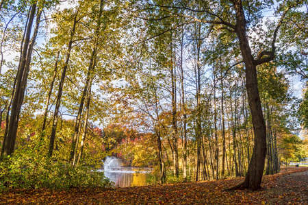 An Autumn view of Holiday Lake in ManalapanNew Jersey.の写真素材