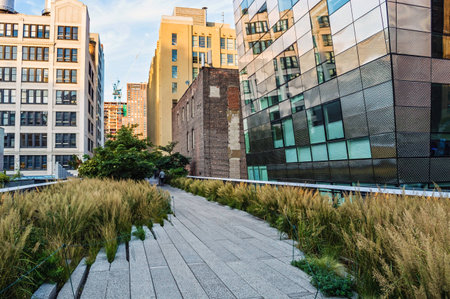 NEW YORK-OCTOBER 20:A mix of old and new architecture can be seen along the High Line Park on October 20, 2014 in Manhattan.のeditorial素材