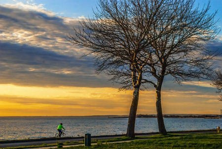 A cyclist rides along the bike trail on Sandy Hook along the bay at sunset in New Jersey.の写真素材
