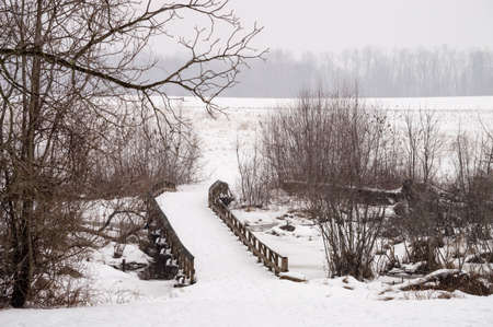A wooden bridge during the snow at Monmouth Battlefield State Park in New Jersey.の写真素材
