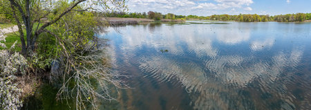 A scenic Spring panoramic view of the John Heinz National Wildlife Refuge in Eastern Pennsylvania.