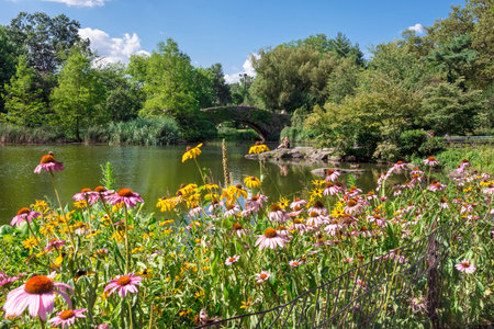 A colorful Summer view of the duck pond in Central Park.の写真素材