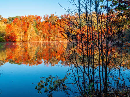 Vibrant Autum scenery contrasted from a dark shoreline at Holiday Lake in Manalapan NJ.の写真素材