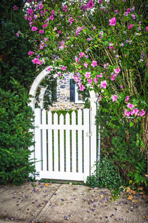 A white picket arched gate surrounded by Summer flowers.の写真素材