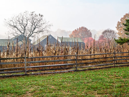 An early morning foggy view of the historic Longstreet farm in Holmdel Park in New Jersey.の写真素材