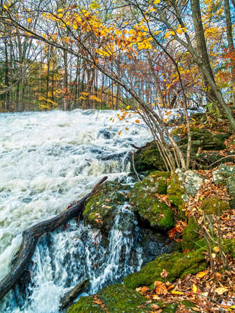 A fast moving stream runs through this woodlands of the Pocono Mountains of Pennsylvania.の写真素材