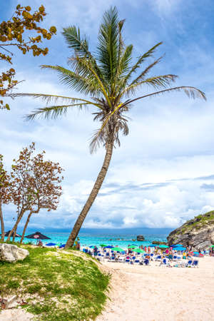 HORSESHOE BAY, BERMUDA - MAY 26 - Palm trees and rock formations welcome the tourists to Horseshoe Bay on May 26 2016 in Bermuda.のeditorial素材