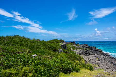 Lush green foliage, blue sky and aqua colored water along the coastline of Bermuda.の写真素材
