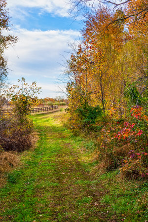 A trail leads through this Autumn meadow in rural Central New Jersey.