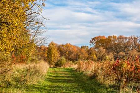 A wide trail through this Autumn woods in this Central NJ parkland.の写真素材
