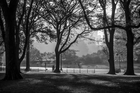 A high contrast black and white view of Central Park and a late hazy afternoon in New York City.の写真素材
