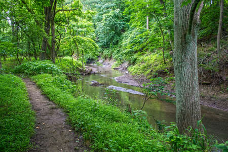 A hiking trail in Big Brook Preserve in Monmouth County New Jersey.の写真素材