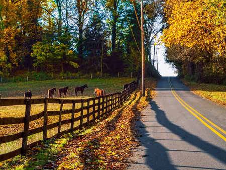 A horse farm along the road in rural Central New Jersey.