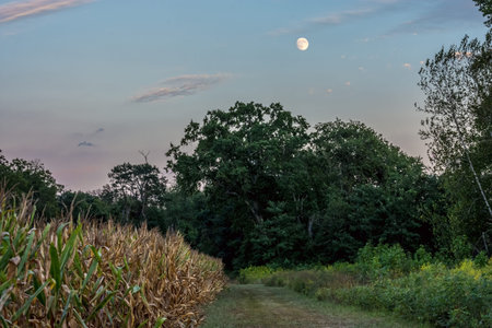 The Moon rises over this meadow in Monmouth Battlefield State Park in New Jersey.