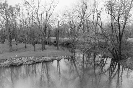 A black and white view of Imlaystown Creek in Monmouth County New Jersey.の写真素材