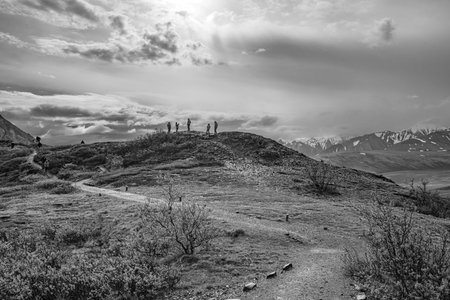 A black and white view of a rest stop area with photo ops in black and white.