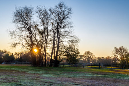 A sunrise in Joe Palaia Park in Oakhurst New Jersey.