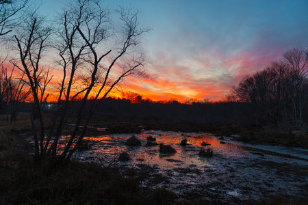 Vivid colors reflect off the swamp after sunset in Englishtown New Jersey.