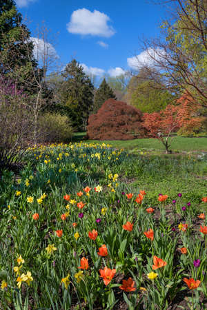 A coloful Spring landscape in Deep Cut Gardens in Monmouth County New Jersey.のeditorial素材